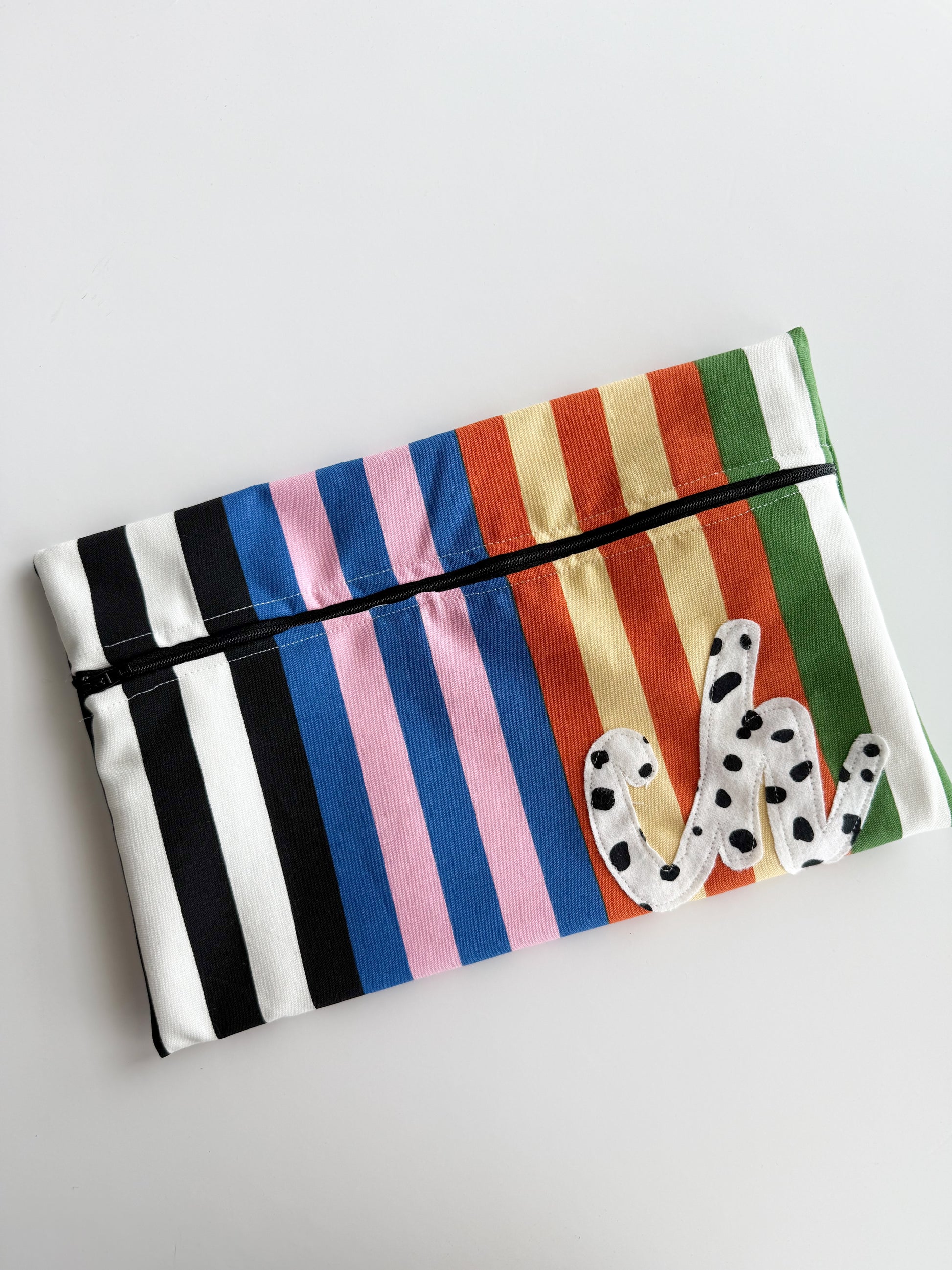Multicolor Stripe Wetbag