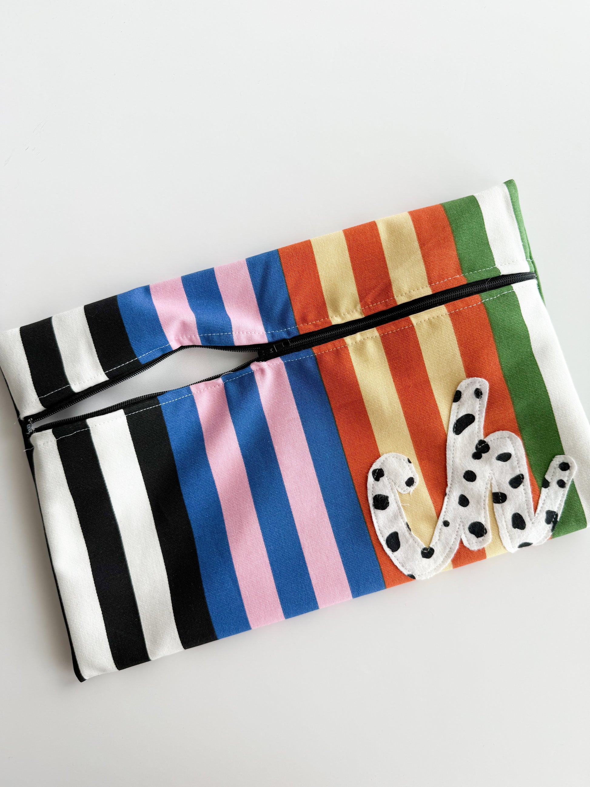 Multicolor Stripe Wetbag