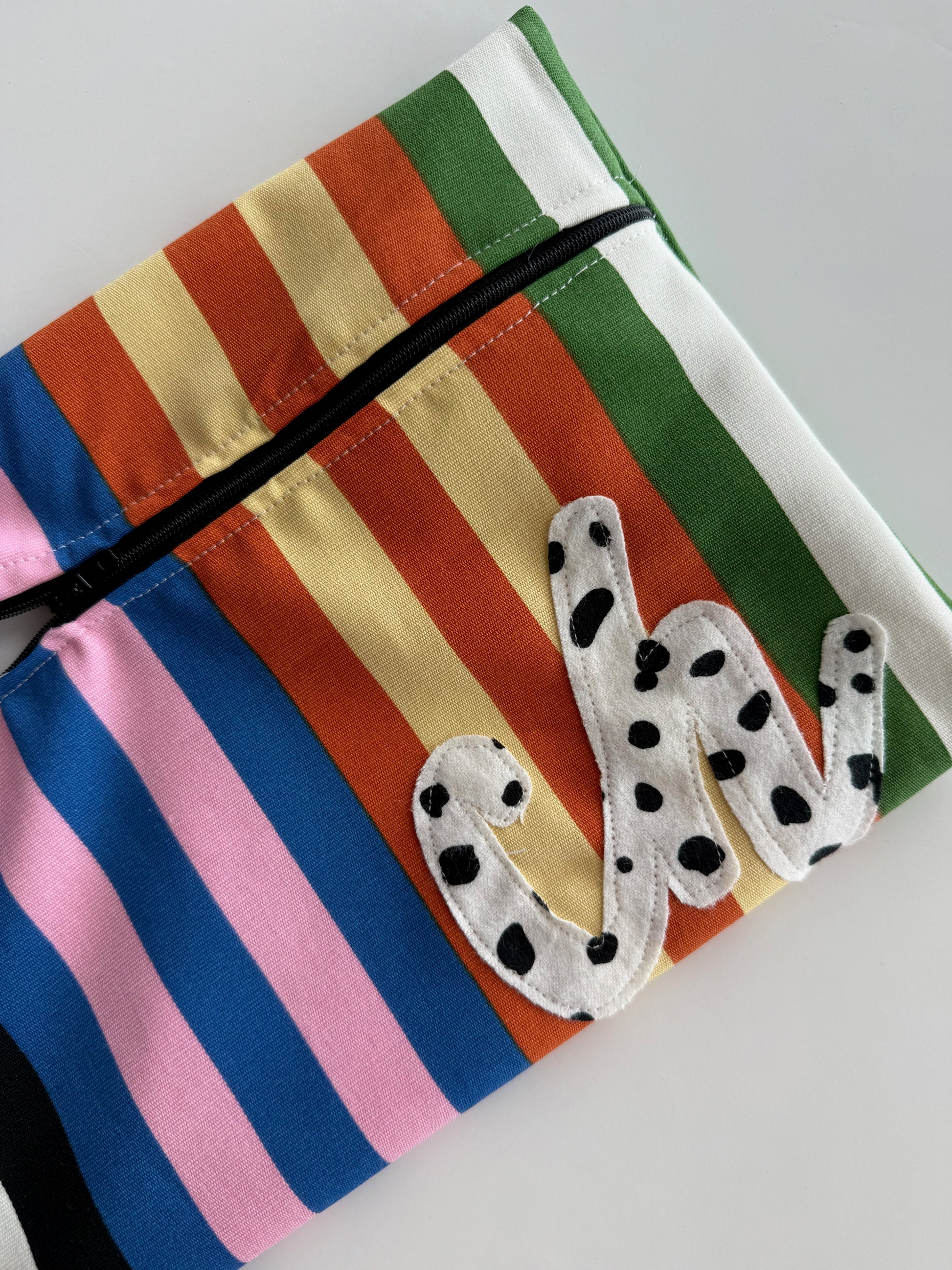 Multicolor Stripe Wetbag